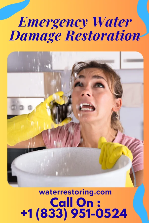 Emergency Water Damage Restoration in Aynor, SC